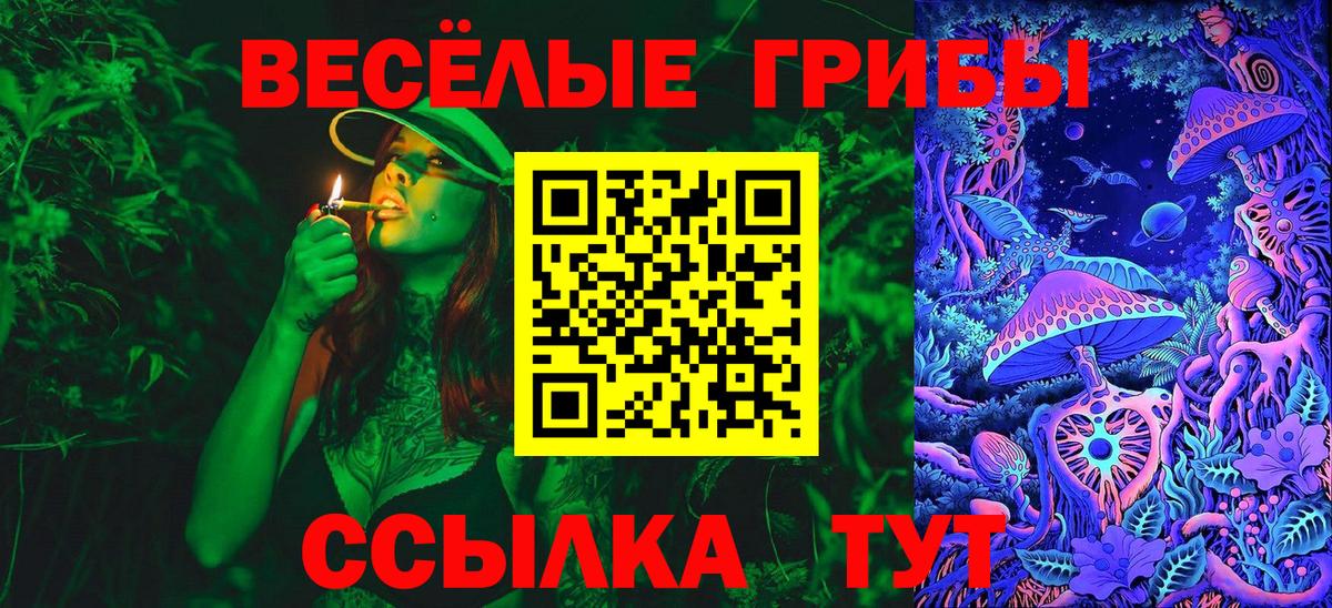 Можайск  Псилоцибиновые грибы прущие грибы  Вход с VPN 